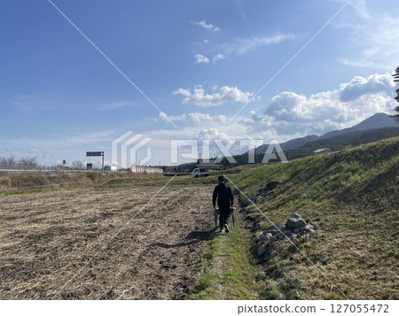 Rice field scenery (work) Rice field scenery (work) 127055472
