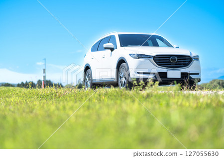 White SUV type car 127055630