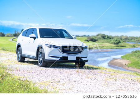 White SUV type car 127055636