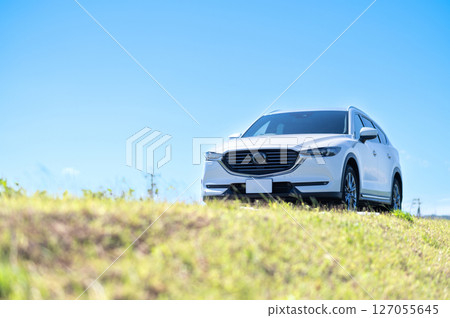 White SUV type car 127055645