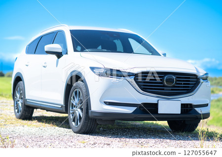 White SUV type car White SUV type car 127055647