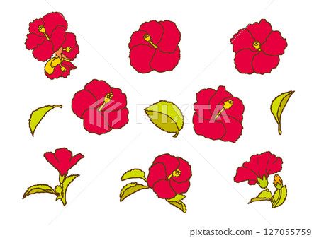 夏季花芙蓉套裝 127055759