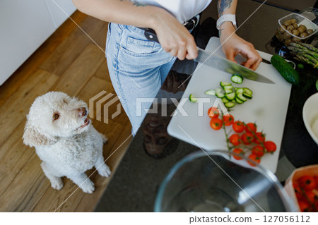 Cooking with a Dog Your Adorable and Friendly Kitchen Companion for Culinary Adventures Cooking with a Dog Your Adorable and Friendly Kitchen Companion for Culinary Adventures 127056112
