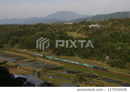 EF64 Freight train 8872 EF64 Freight train 8872 127056686