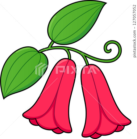 Copihue flower illustration 127057052