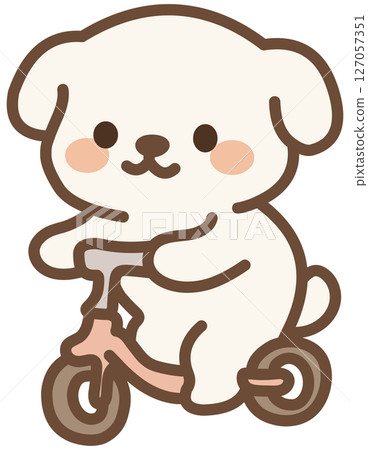 Cute White Puppy Riding Bike Cute White Puppy Riding Bike 127057351