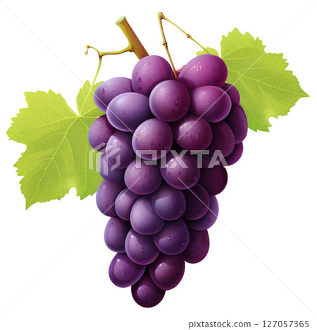 Grape 127057365