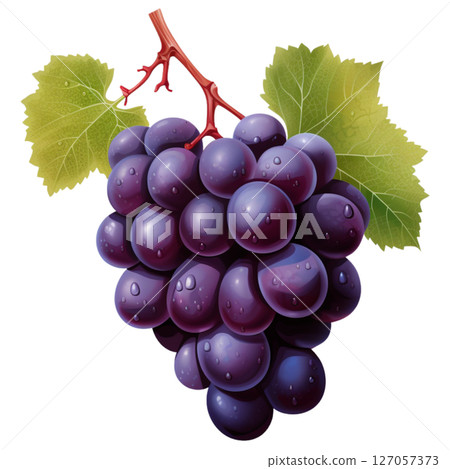 Grape Grape 127057373