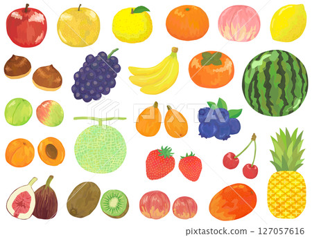 Fruit illustration set vector material Fruit illustration set vector material 127057616