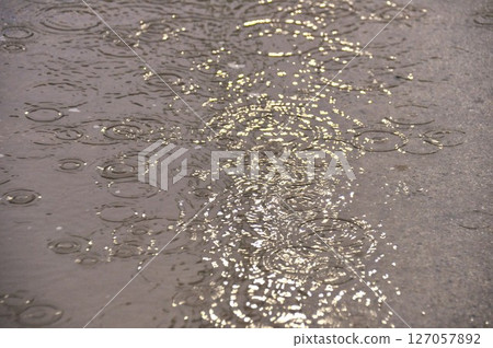 Rain ripples hitting a puddle on the road at night during heavy rain Rain ripples hitting a puddle on the road at night during heavy rain 127057892