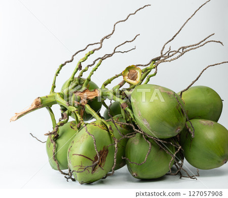 Fresh cut of coconut branch Fresh cut of coconut branch 127057908
