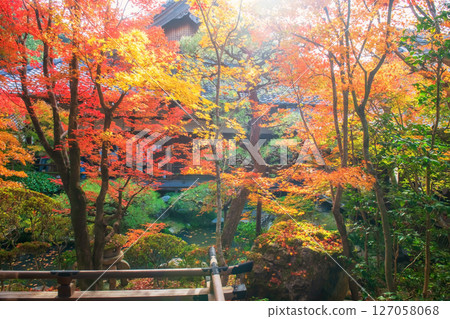 Coloful autumn foliage garden decor inside Eikando temple, Kyoto 127058068