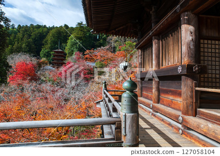 Wooden terrace to view Hasedera temple pagoda and fall color, Nara 127058104