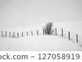 Wire fence running through snowy landscape in winter 127058919