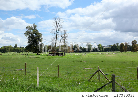 法國 巴黎 凡爾賽宮 草地 127059035