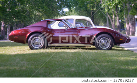 1970s Chevy Corvette Stingray Side Profile 1970s Chevy Corvette Stingray Side Profile 127059237