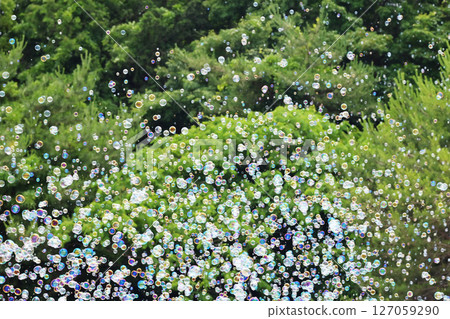 漂浮在空中的肥皂泡，肥皂泡和新綠風景，圖像素材，背景素材 127059290