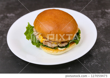Homemade hamburgers on a plate 127059473