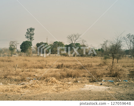 wilderness wilderness 127059648