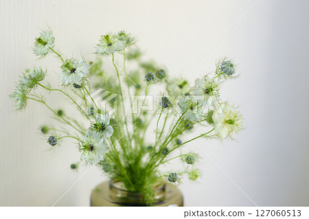 a bouquet of daisies in a glass vase stands on a table on a white background, depth of field, side effect, defocus, macrophotography, bokeh a bouquet of daisies in a glass vase stands on a table on a white background, depth of field, side effect, defocus, macrophotography, bokeh 127060513
