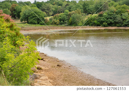 Calm sea bank with lush green trees in Istria, Croatia. 127061553