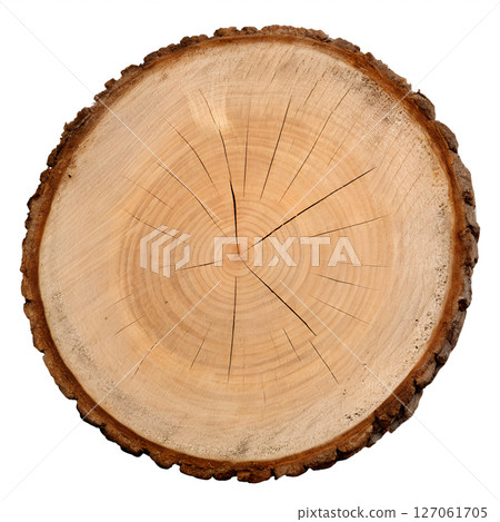 Wood log cross-section isolated on transparent background, tree trunk slice, natural texture, growth rings, forestry, rustic, cut timber Wood log cross-section isolated on transparent background, tree trunk slice, natural texture, growth rings, forestry, rustic, cut timber 127061705