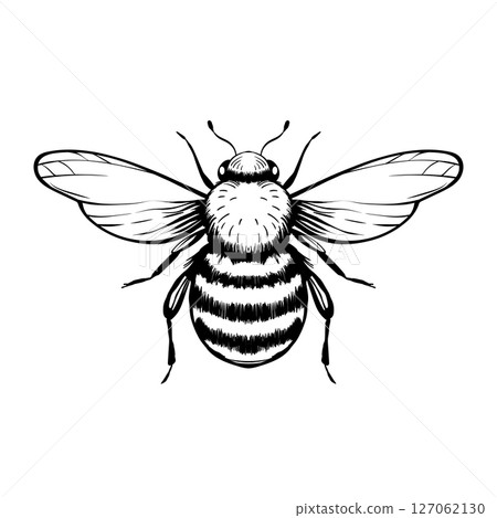 Cartoon bee mascot. A small bees flies. Wasp collection. Vector characters. Incest icon. Template design for invitation, cards. Doodle style 127062130