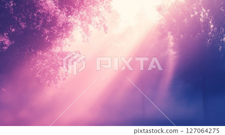 Sunbeams Illuminating a Foggy Forest Sunbeams Illuminating a Foggy Forest 127064275