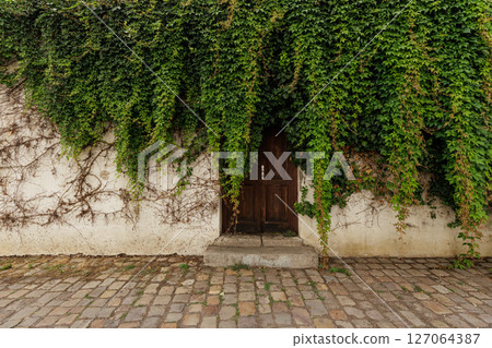 Ivy covering white wall with wooden door and cobblestone street wallpapper copy space 127064387