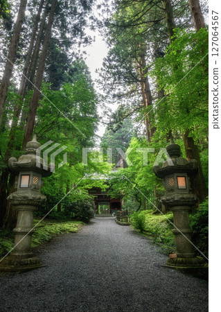 Scenery of a mountain trail with lush greenery in early summer Scenery of a mountain trail with lush greenery in early summer 127064567