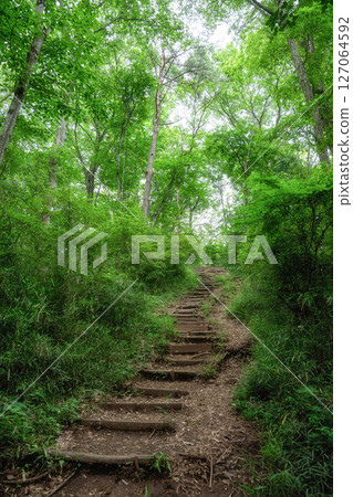 初夏綠意盎然的山間小徑風景 127064592