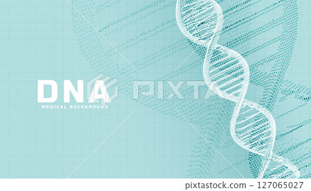 DNA structure biotechnology medical banner for genetic research DNA structure biotechnology medical banner for genetic research 127065027