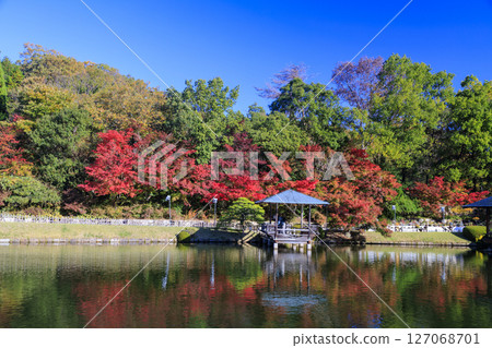 三原市三溪園的秋葉和池塘倒影 127068701