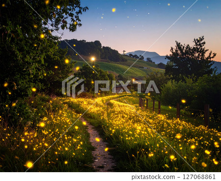 螢火蟲飛舞的鄉村風景 螢火蟲飛舞的鄉村風景 127068861