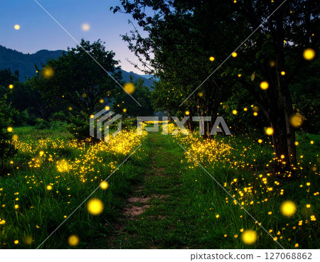 螢火蟲飛舞的鄉村風景 127068862