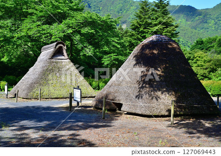 栃木市星野町星野遺址 127069443