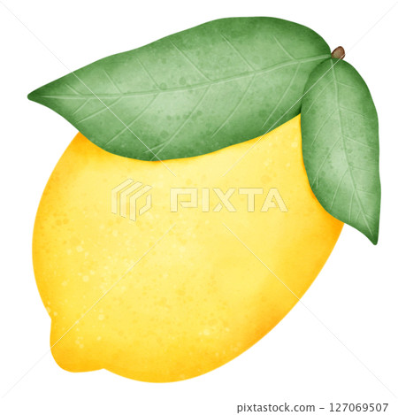 set of lemon slices and slices with leaves isolated on white background set of lemon slices and slices with leaves isolated on white background 127069507