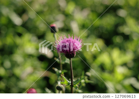 沒騙局 沒騙局 127069613