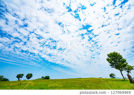 Blue sky and clouds and prairie Blue sky and clouds and prairie 127069969