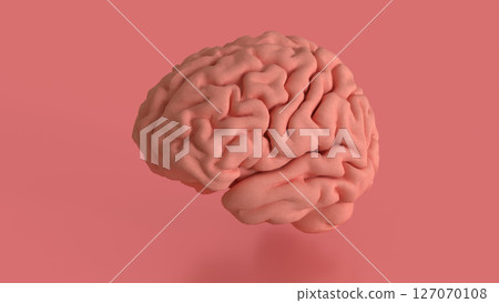 The Brain on pink Background for sci or health concept 3d Rendering. 127070108