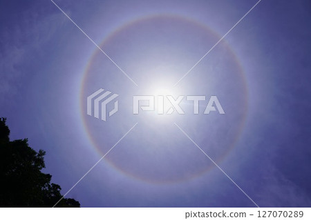 暈 127070289