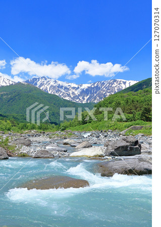 Mt. Hakuba in early summer as seen from the foot of the mountain Mt. Hakuba in early summer as seen from the foot of the mountain 127070314
