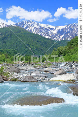 Mt. Hakuba in early summer as seen from the foot of the mountain Mt. Hakuba in early summer as seen from the foot of the mountain 127070316
