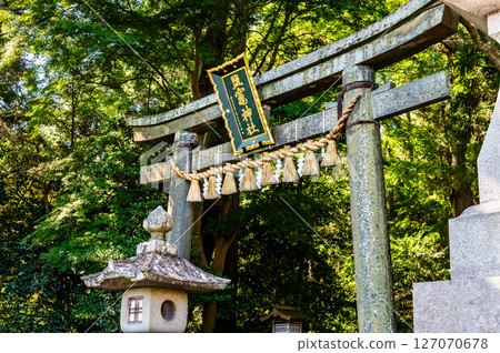 宮城鹽釜神社東面的鳥居 127070678
