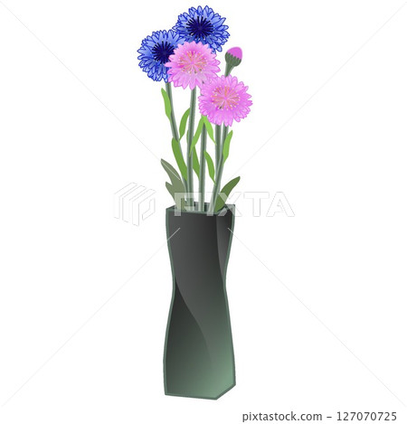 Illustration of cornflowers in a black vase Illustration of cornflowers in a black vase 127070725