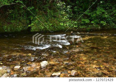 Shade of the riverbank 127072429