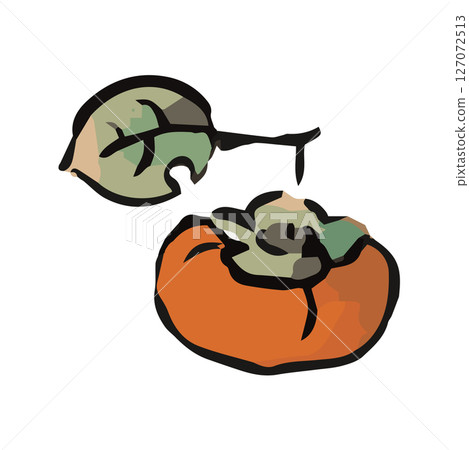 Simple persimmon hand-drawn illustration 127072513