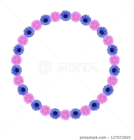 Cornflower circular decorative frame illustration 127072605