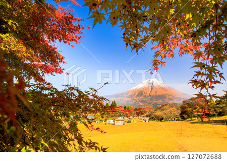 秋季營地富士山和狸木湖營地秋葉的形象 127072688