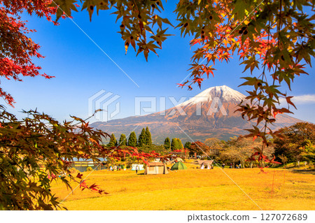 Image of the autumn campsite Mt.Fuji and the autumn leaves of the Lake Tanuki campsite 127072689